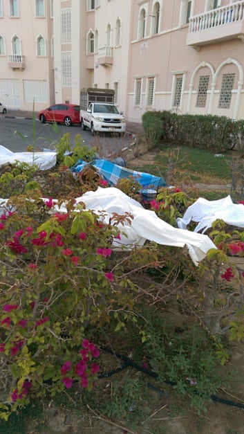 1.1468394-2541933264