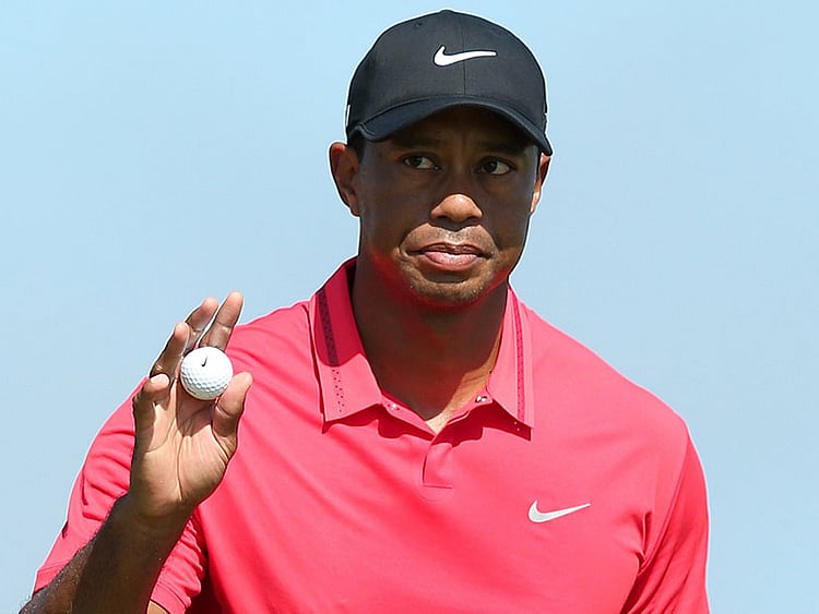 1.1483204-3947987238