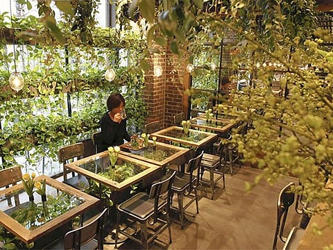 Yomiuri Shimbun/Washington Post