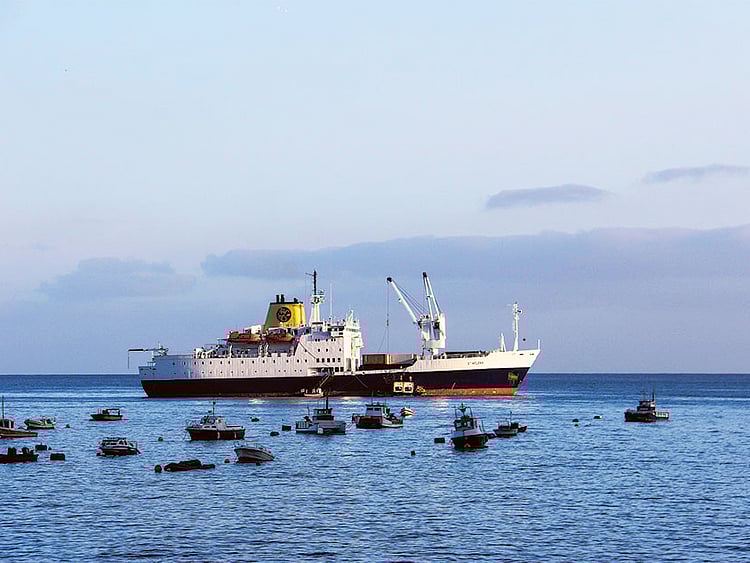 1.1491167-1974181166