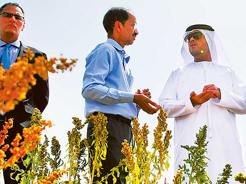 Ahmed Ramzan/Gulf News