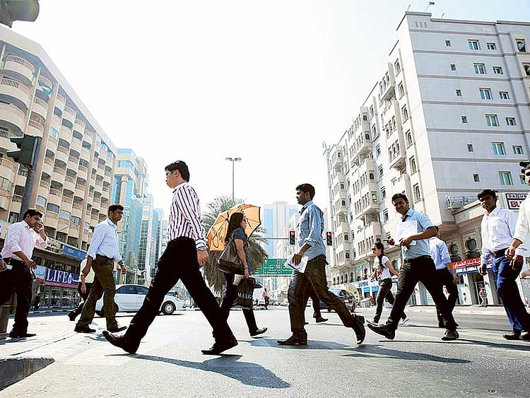 1.1491826-1558072571