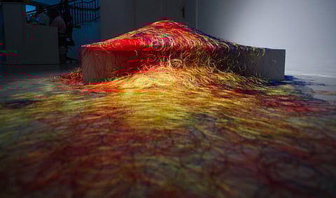 Expressions of sustainability