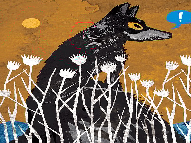 1.1492452-2373816088