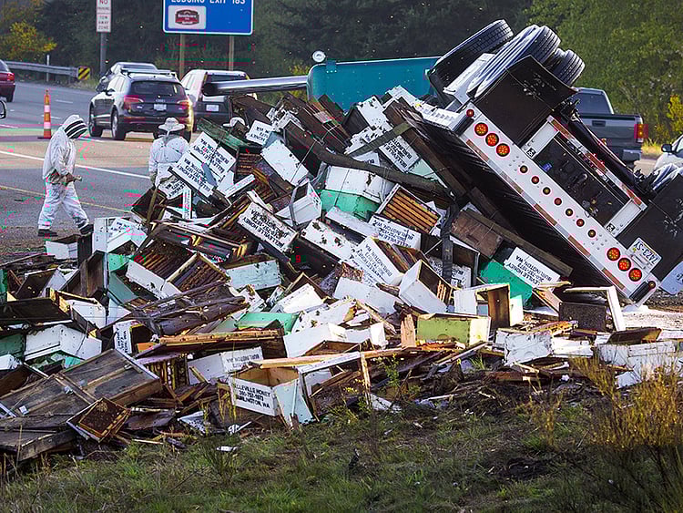 1.1494107-1204326596