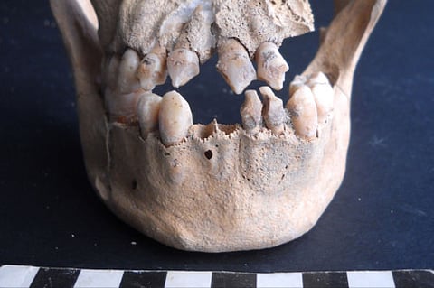 Jay B. Haviser / St. Maarten Archaeological Center