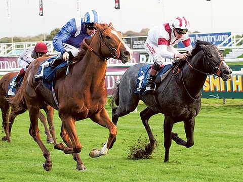 Royal Ascot trip in store for Hamdan’s Mutarakez