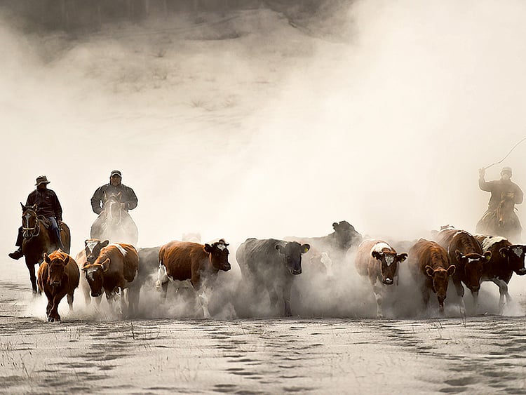 1.1499246-1330776125