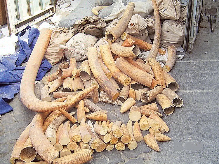 1.1486298-3645069000