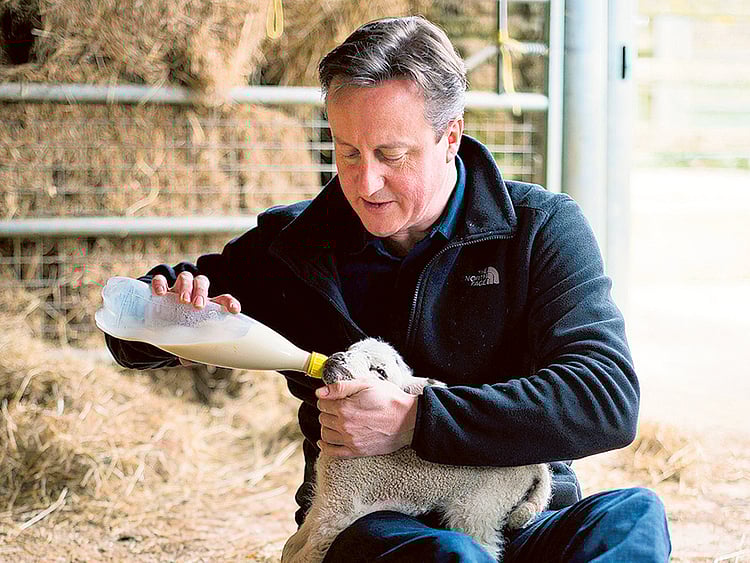 1.1486338-2684950175