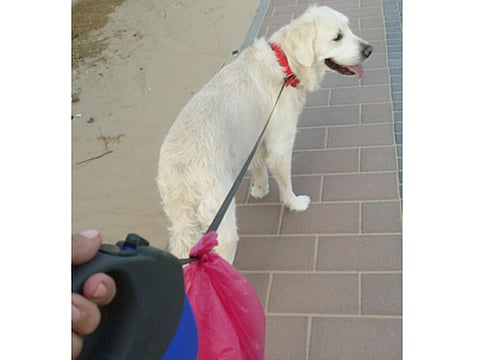 Karen Beggs/Gulf News reader