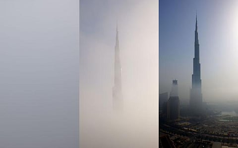 Twitter @rascottdotcom 