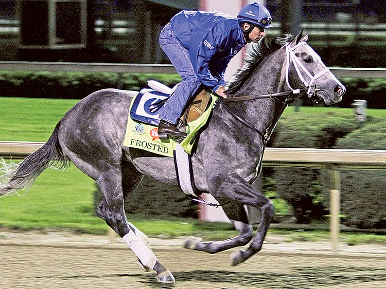 1.1502737-2794988345