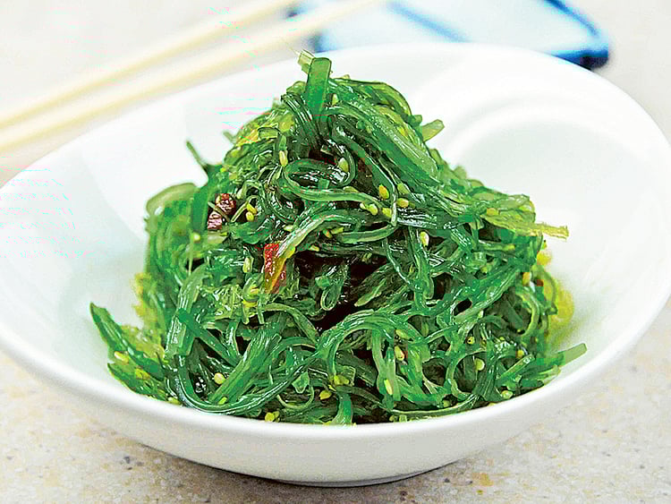 1.1510235-2610892079