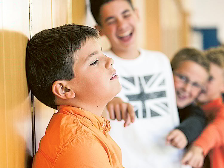 1.1511361-2028384343