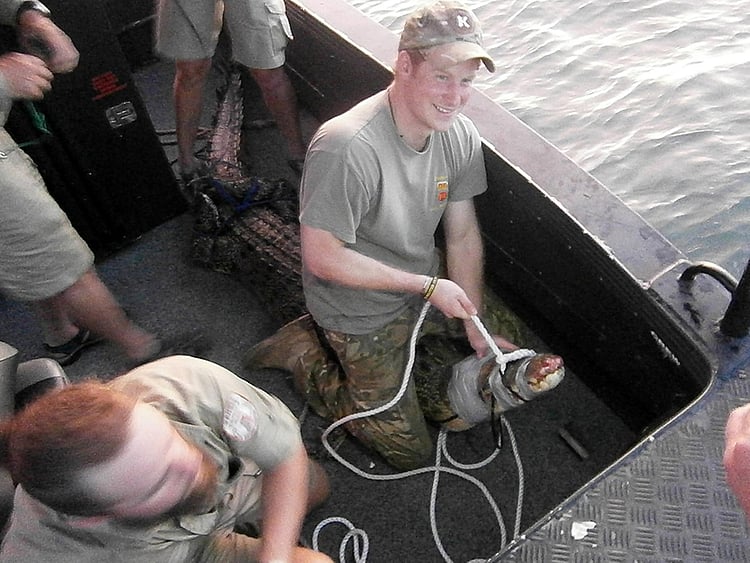 1.1511713-2176566635