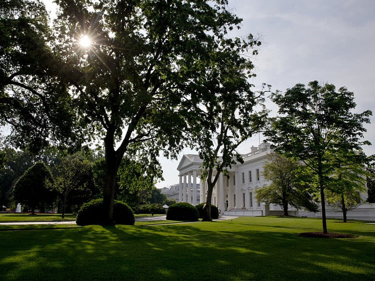 1.1513148-1828208711