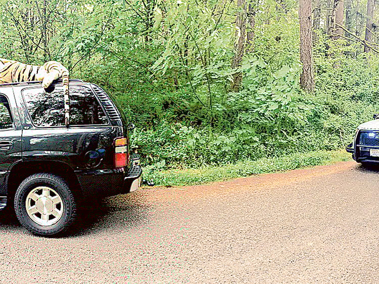 1.1518744-3843974394