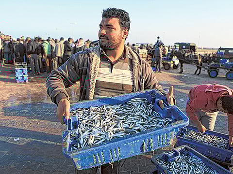 Gaza’s fishing industry gasping for breath