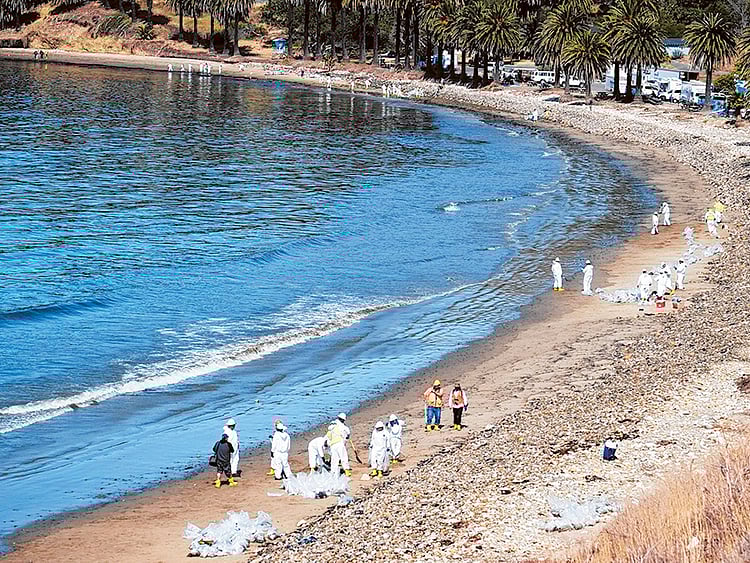 1.1519362-3869344988