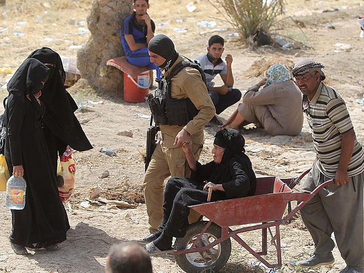 1.1520226-1087872223