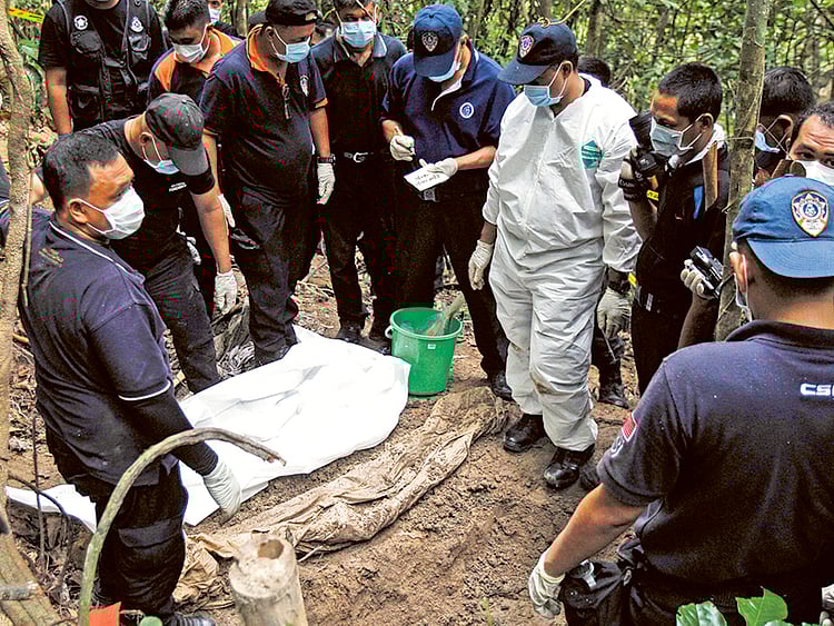 1.1522042-3910996622