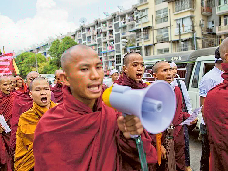 1.1522641-1747452222