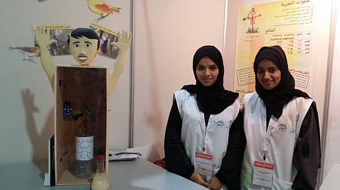 Students invent a smart electronic scarecrow