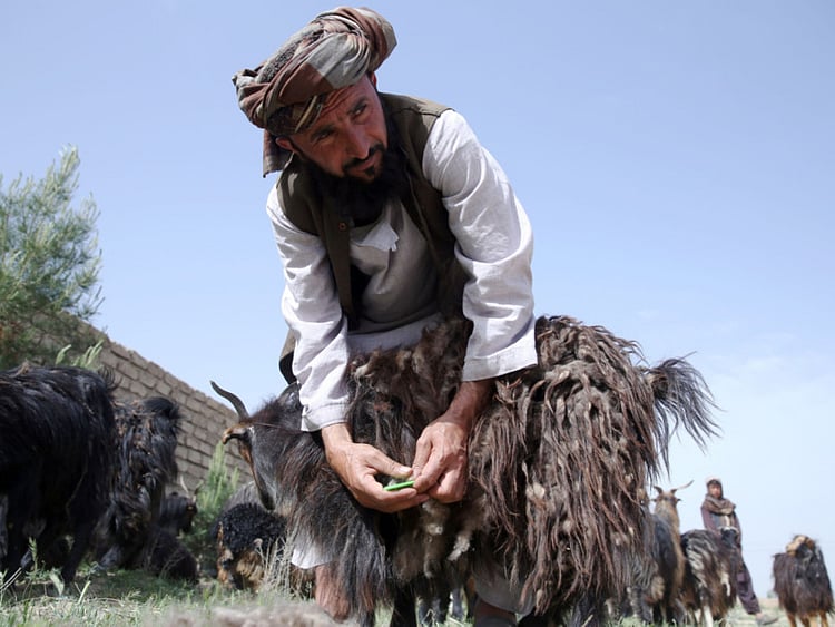 1.1507610-3664692813