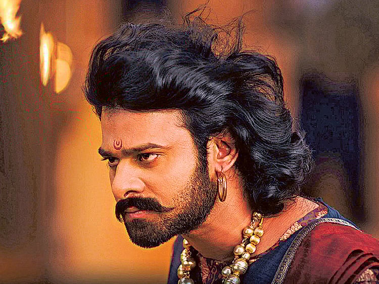 1.1528135-4289724024