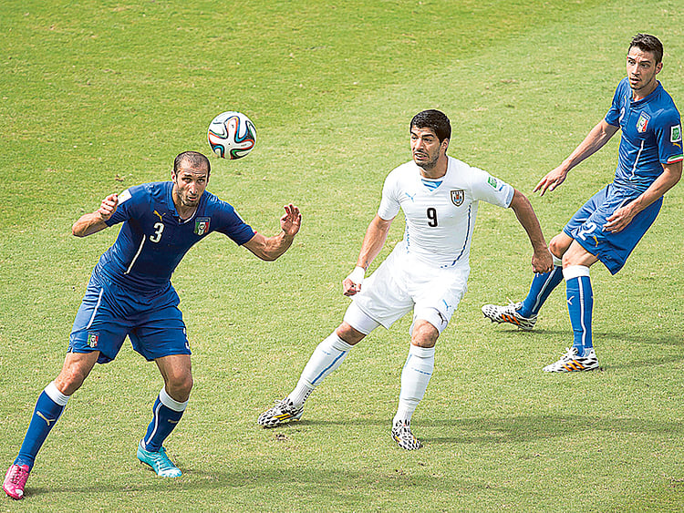 1.1528597-3906422481