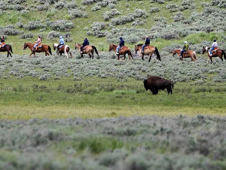 1.1538020-1276704140