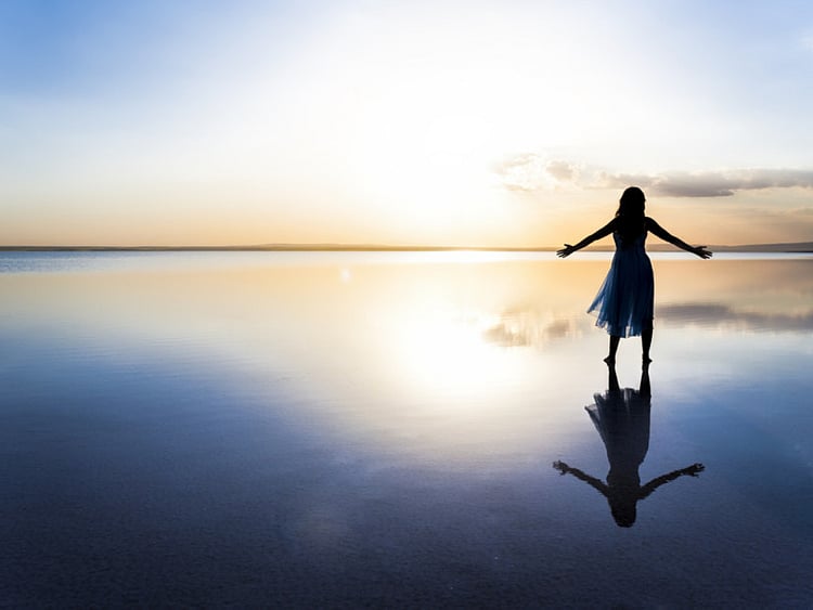 1.1540038-3896861647