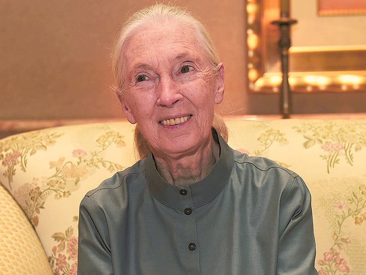 1.1541408-2211007823