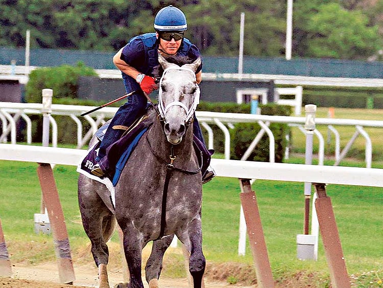 1.1530371-4004594689