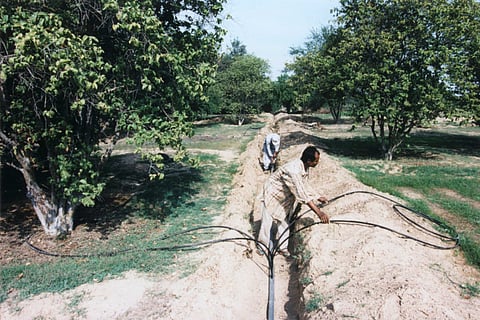 Food security must be high on GCC’s agenda