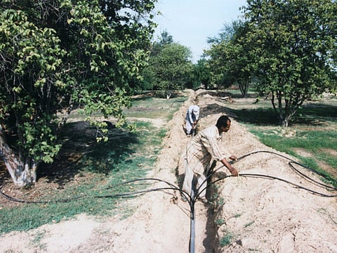 Food security must be high on GCC’s agenda