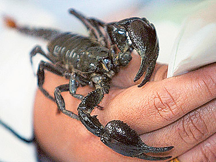 1.1548444-3081659709