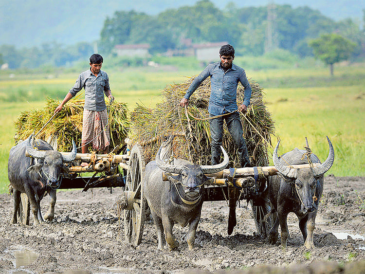 1.1549741-2687144577