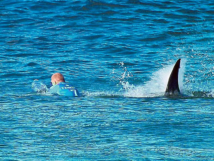 1.1555744-3246259685