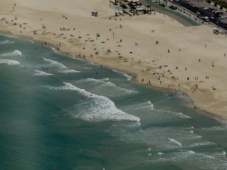 1.1556238-3344863016