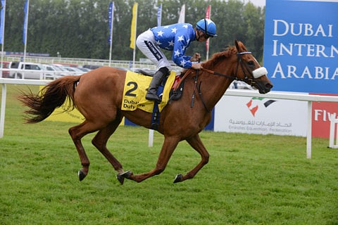 1.1556755-3850225020