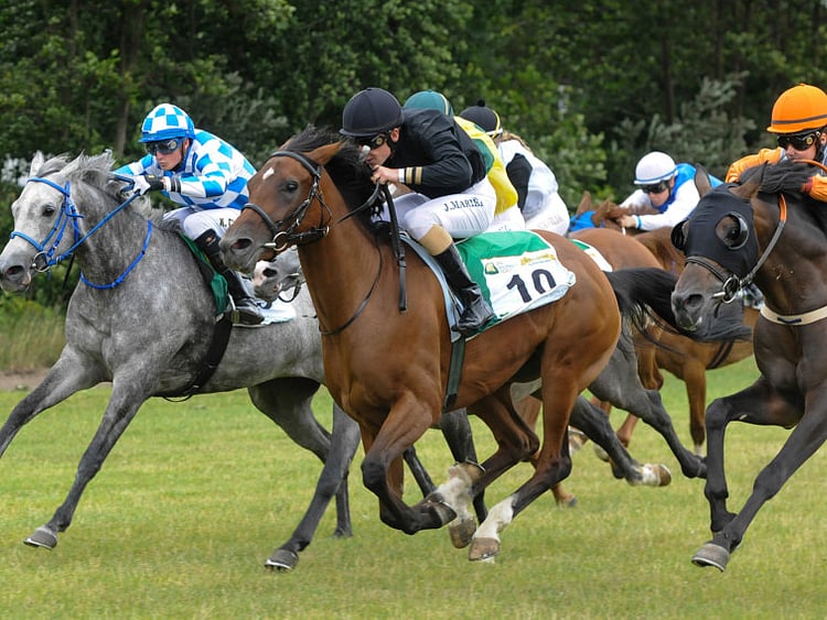 1.1556752-2314736132