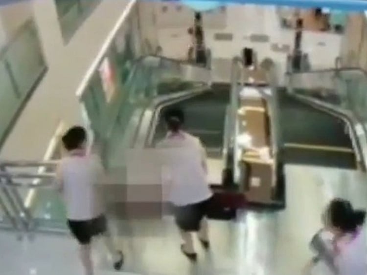 1.1556686-4046401750