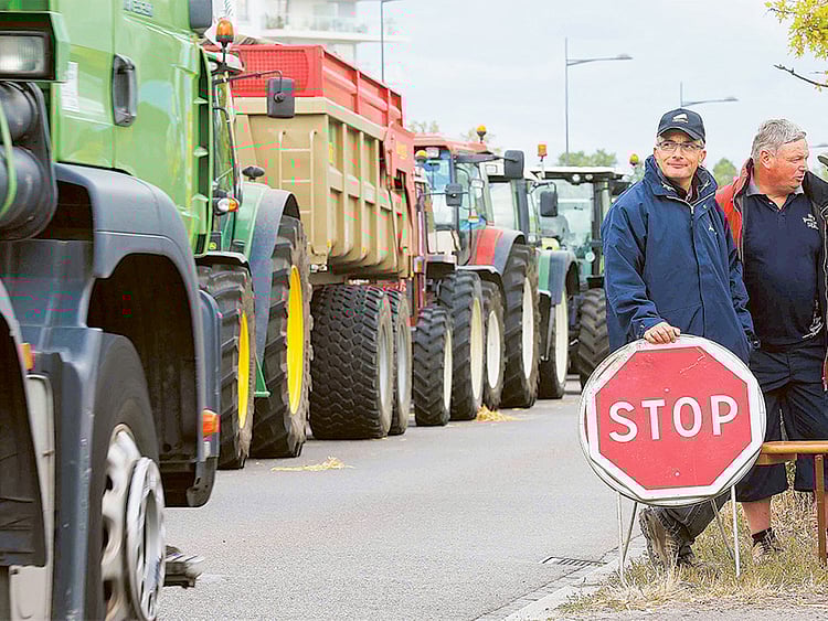 1.1556877-1736951556