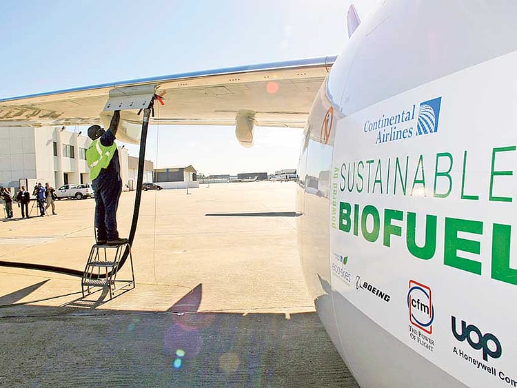 1.1557967-1362608253