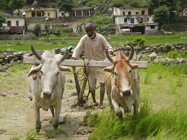 1.1558122-3766122288