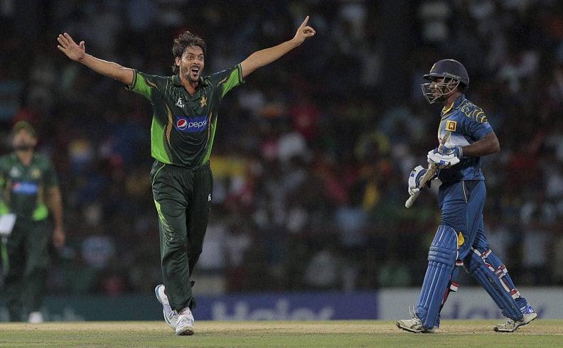 1.1559068-3374208291