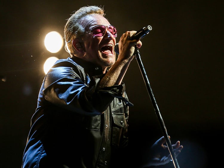 1.1559137-2024054984