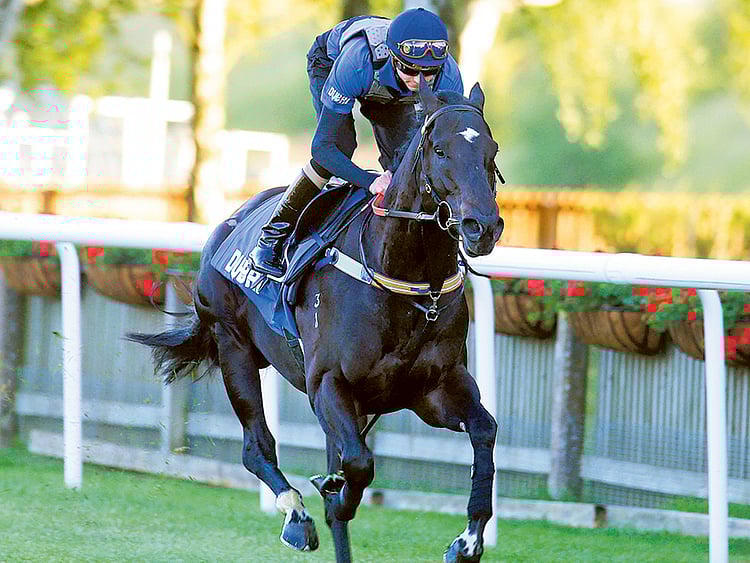 1.1546532-4033444600